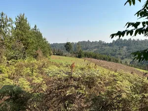 Shamba Linauzwa Kilolo