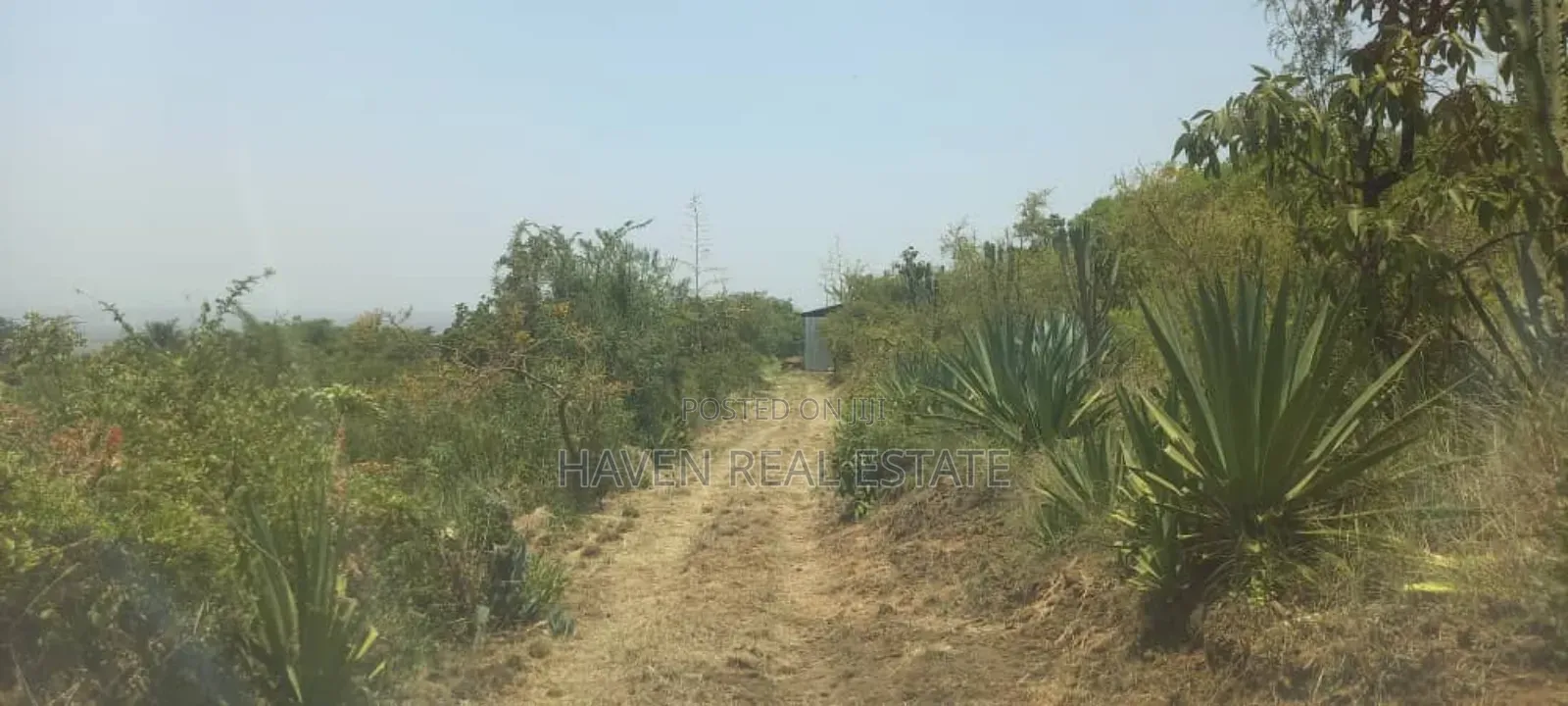 Eneo La Ekari 12 Linauzwa Barabara East Africa, Njiro-Arusha