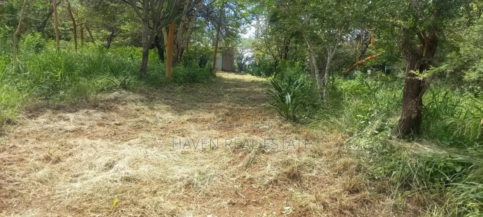 Eneo La Ekari 12 Linauzwa Barabara East Africa, Njiro-Arusha