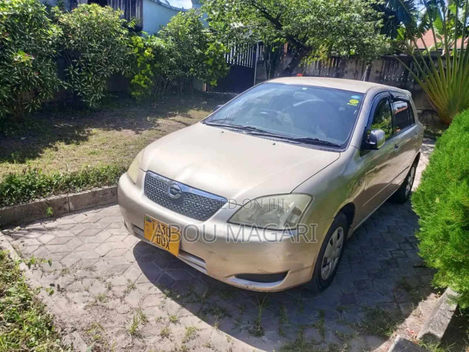 Toyota Allex 2004 Gold