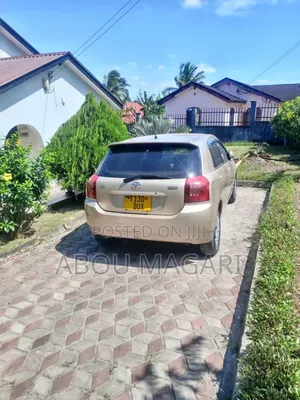 Toyota Allex 2004 Gold