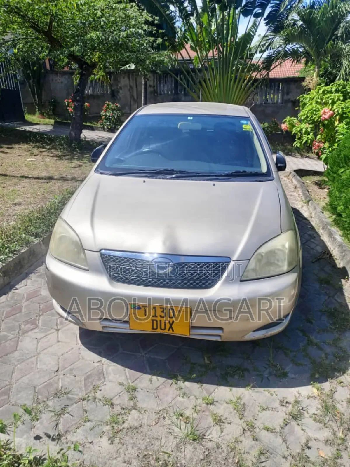 Toyota Allex 2004 Gold