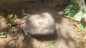 By Owner | Bunju a | Plot 86m From Bagamoyo Rd, Dar