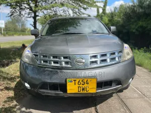 Nissan Murano 2006 Gray