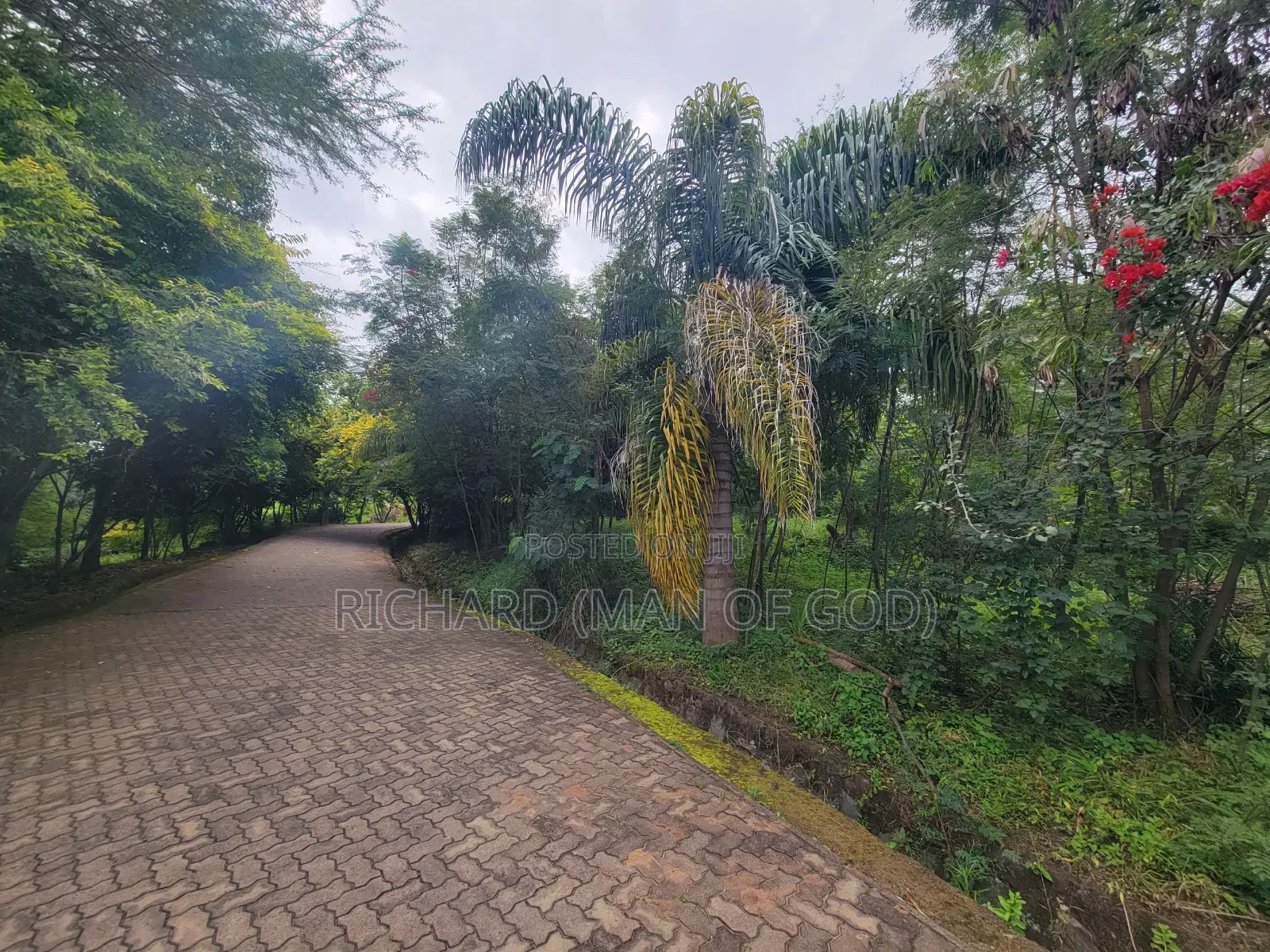 Furnished 1bdrm Apartment in Arusha for rent