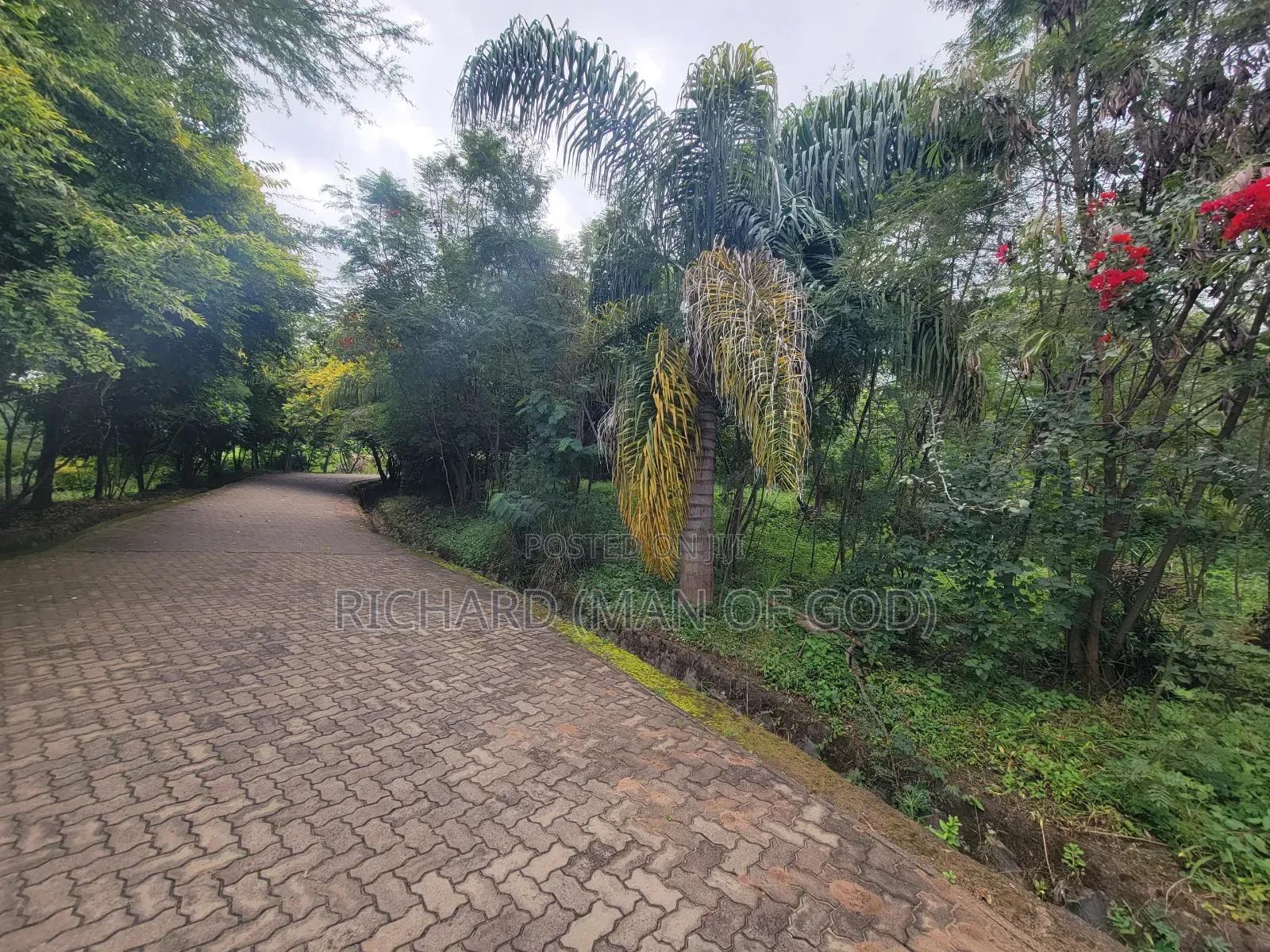 Furnished 1bdrm Apartment in Arusha for rent
