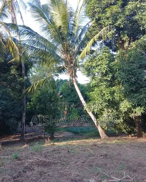 Kiwanja Kwa Ajili Ya Makazi