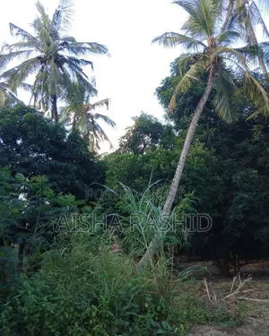 Kiwanja Kwa Ajili Ya Makazi