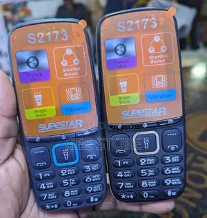 S2173 Mobile Phone