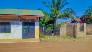 4bdrm House in Dalalipapaatzseven, Mwanzange for sale