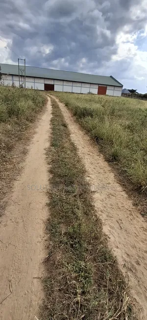 Big Warehouse/Godown for Rent at Mapinga