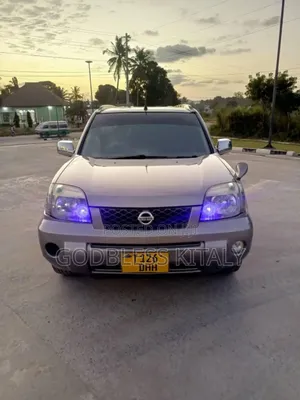 Nissan X-Trail 2.0 2005 Gray