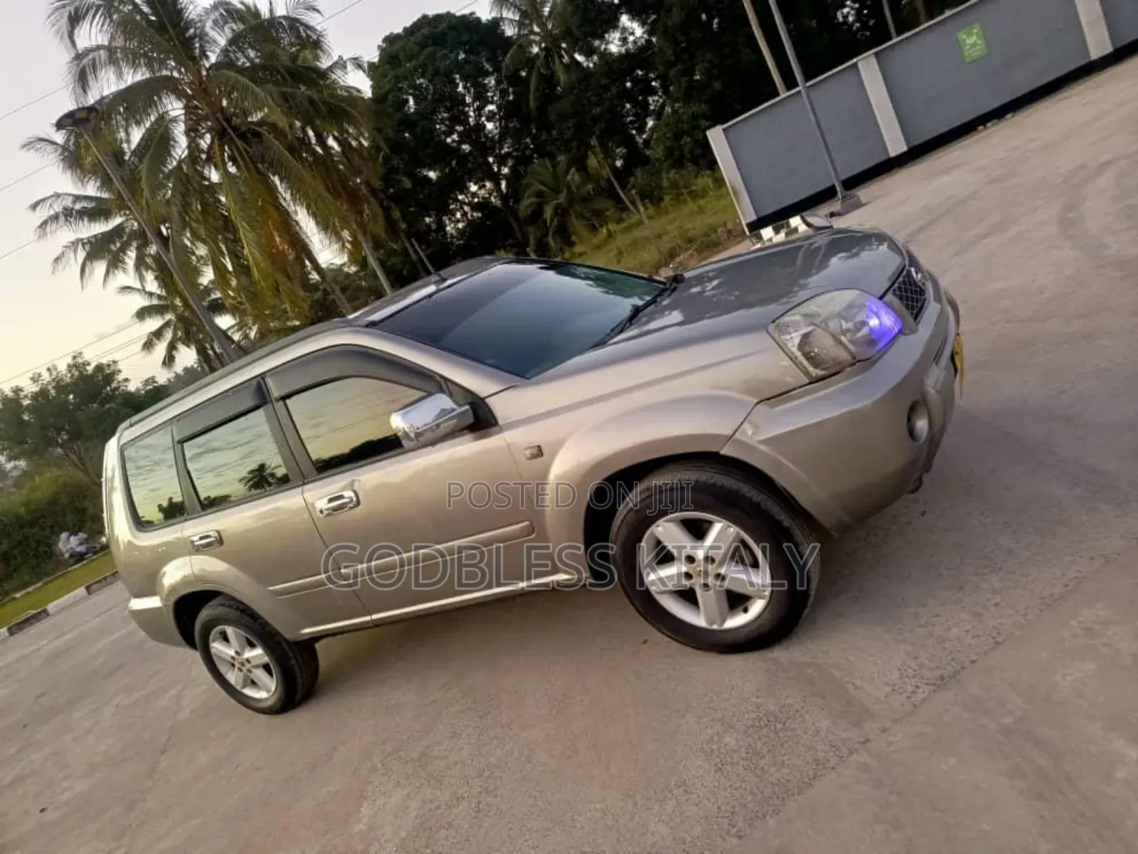 Nissan X-Trail 2.0 2005 Gray