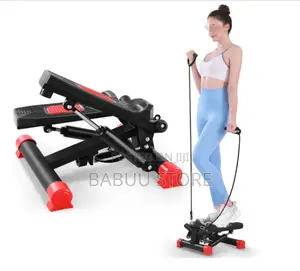 Twist Mini Stepper