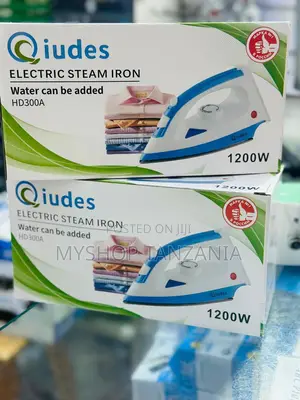 Iudes Electric Steam Iron
