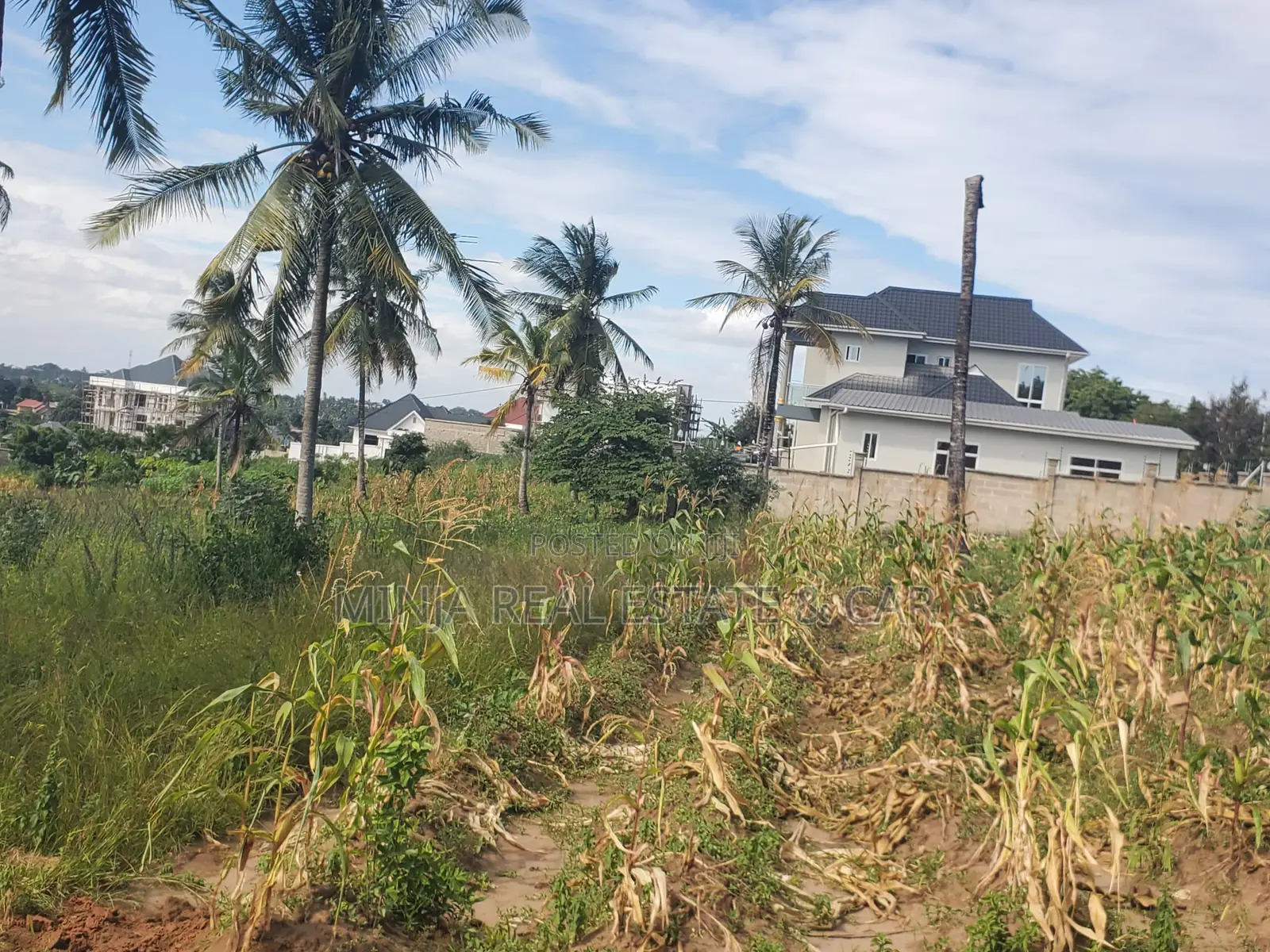 Two Plots Connected Together for Sale Goba Kulangwa