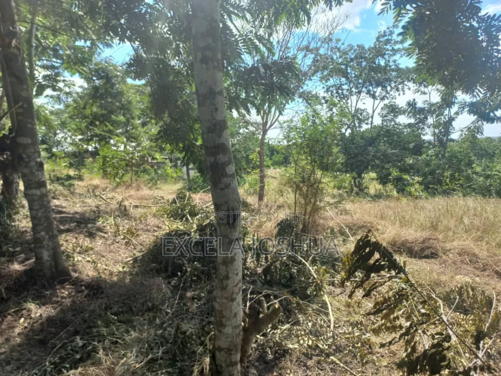 Kiwanja Kinauzwa Kiluvya Madukani Kwa Omary