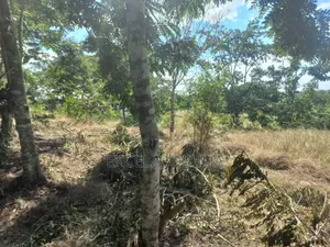 Kiwanja Kinauzwa Kiluvya Madukani Kwa Omary