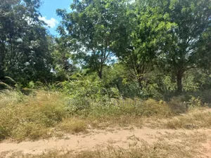 Kiwanja Kinauzwa Kiluvya Madukani Kwa Omary
