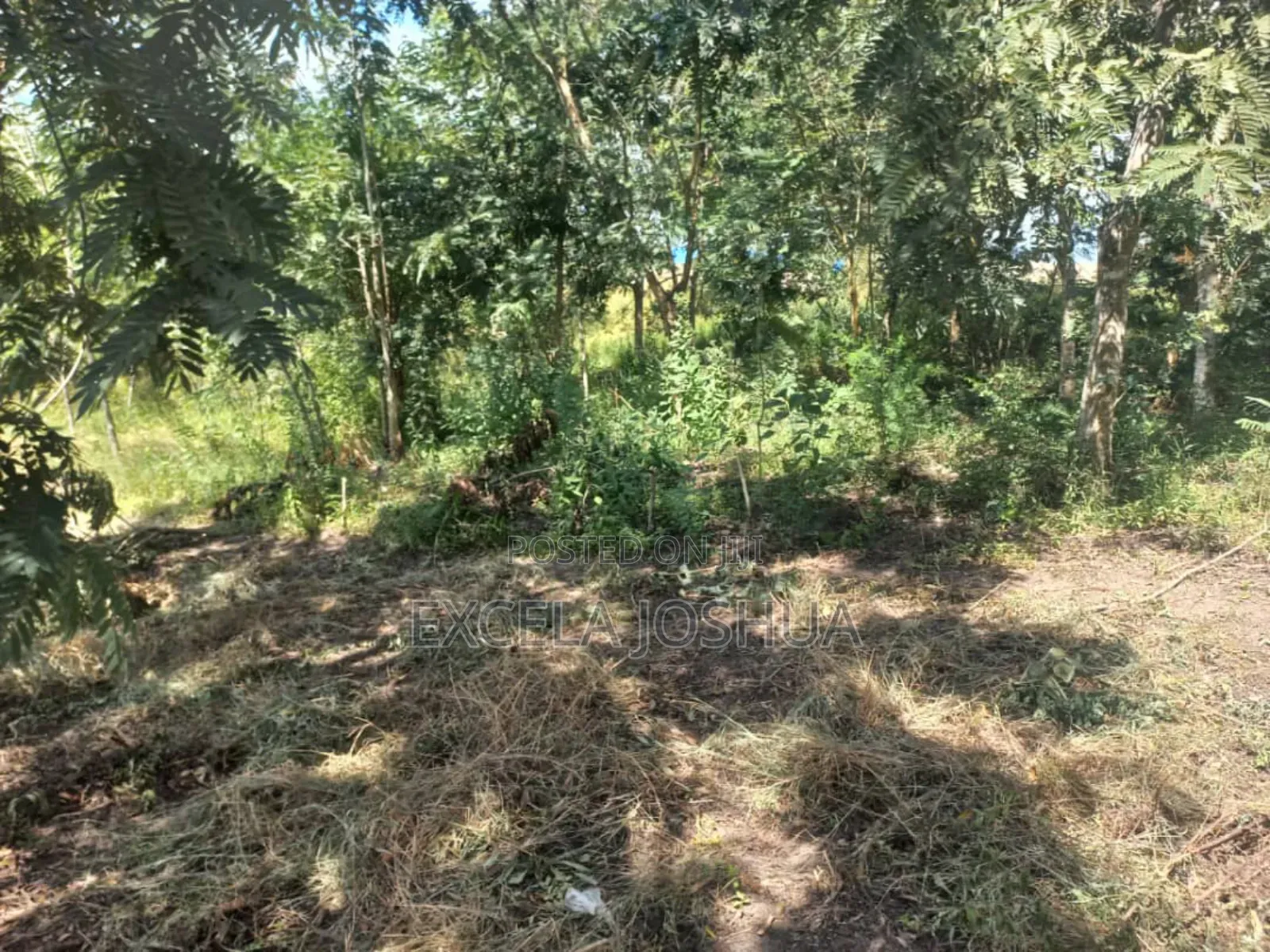 Kiwanja Kinauzwa Kiluvya Madukani Kwa Omary