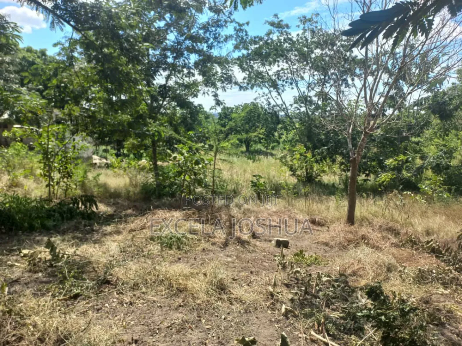Kiwanja Kinauzwa Kiluvya Madukani Kwa Omary