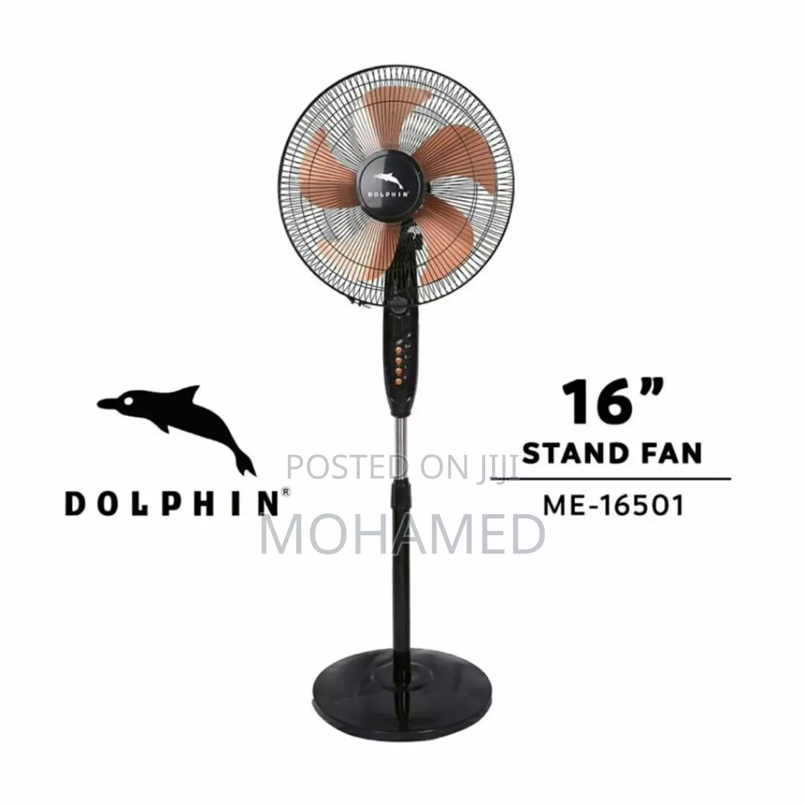 Dolphin Fan Size 16