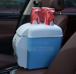 Car Fridge and Storage
