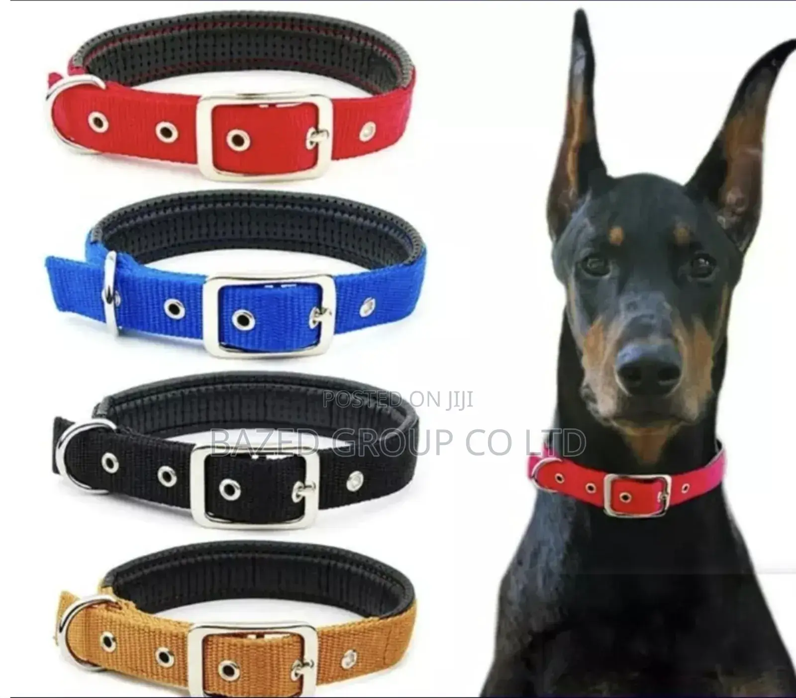 Premium Dog Collars