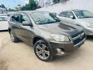 Toyota RAV4 2009 Brown