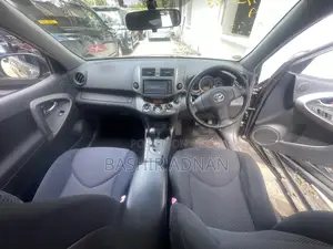 Toyota RAV4 2009 Brown