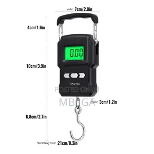 Portable Electronic Scale