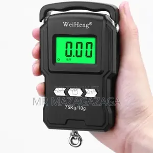 Portable Electronic Scale