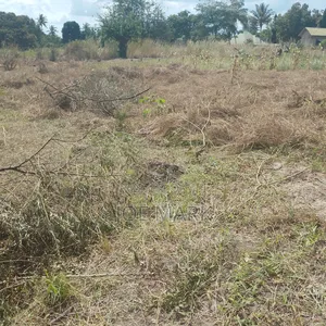 Kiwanja Kinauzwa Kibaha Kwa Mfipa
