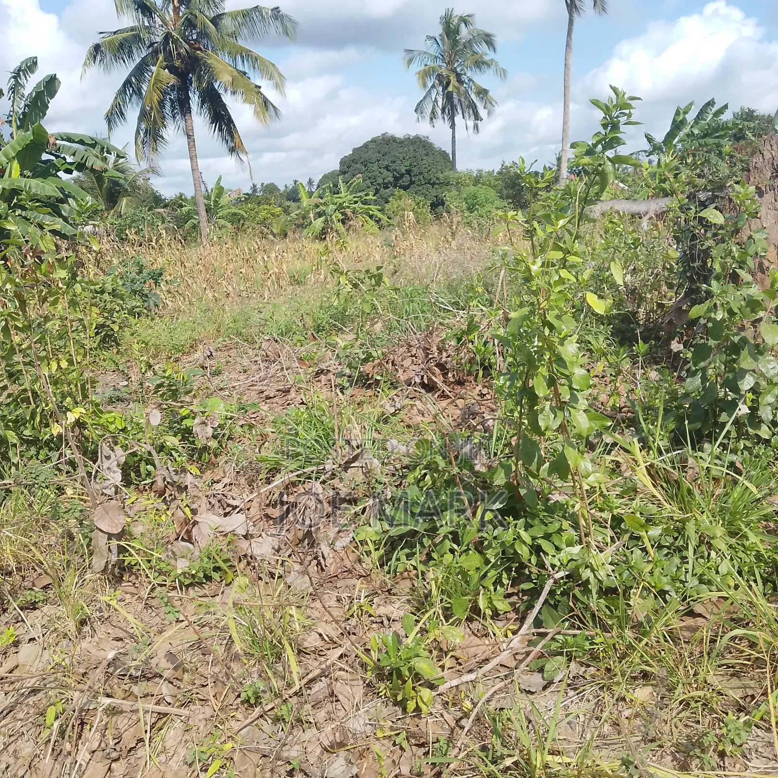 Plot for Sale at Kibaha