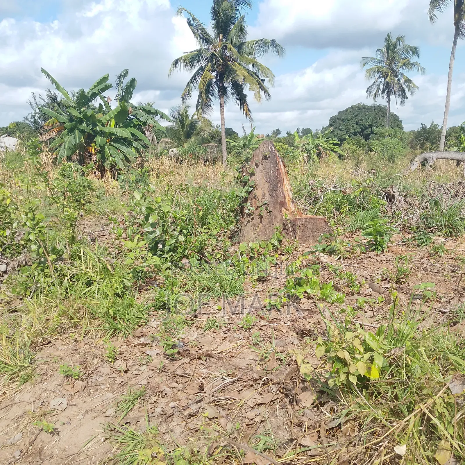 Plot for Sale at Kibaha