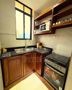 2bdrm Apartment in Mikocheni for rent
