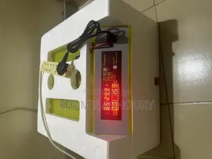 Egg Incubator 56 Eggs