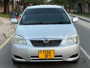 Toyota Corolla RunX 2004 Silver