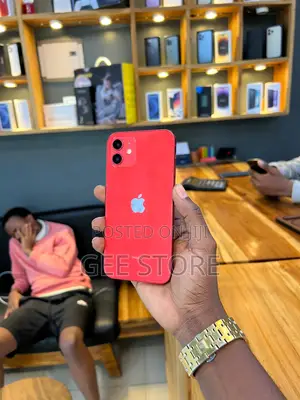 iPhone 12 Plain