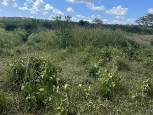 Shamba Linauzwa Kiwangwa