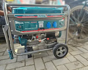 Total Gasoline Generator 5.5kw
