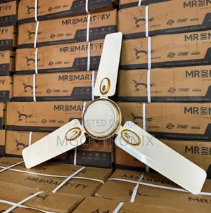 Mr Msartify Fan