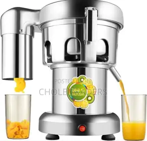 Wf-A2000 Commercial Juice Extractor / Fruit and Vegetables Juicer