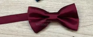 Elegant Bowtie New and Original for Kids