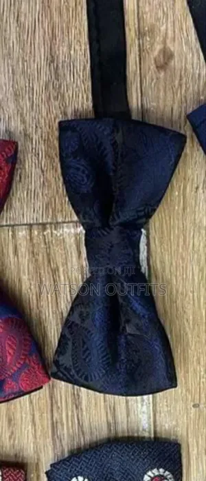 Elegant Bowtie New and Original for Kids