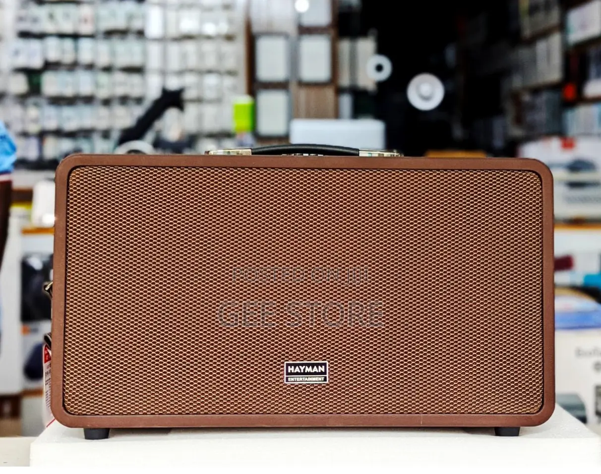 Hayman Kareokee Speaker