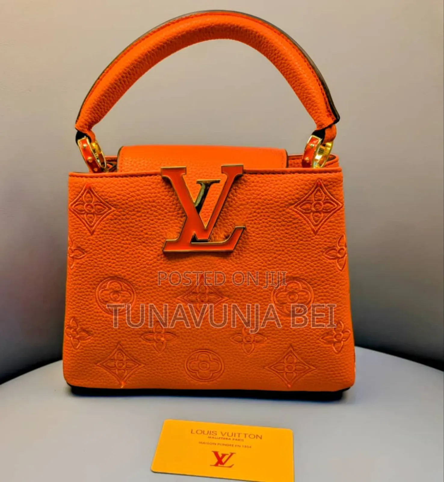 Louis Vuitton Handbags