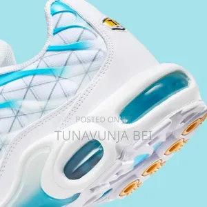 White Blue Nike Airmax Plus