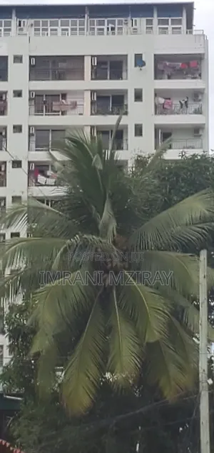 Furnished 3bdrm Apartment in Kariakoo for sale