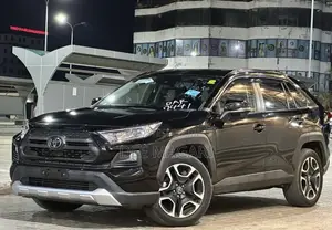 Toyota RAV4 Adventure AWD 2020 Gray